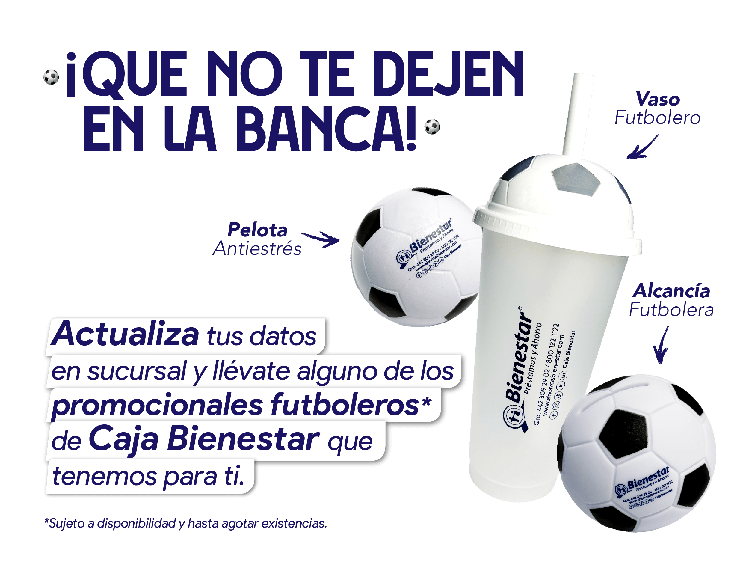 Actualizacion Datos