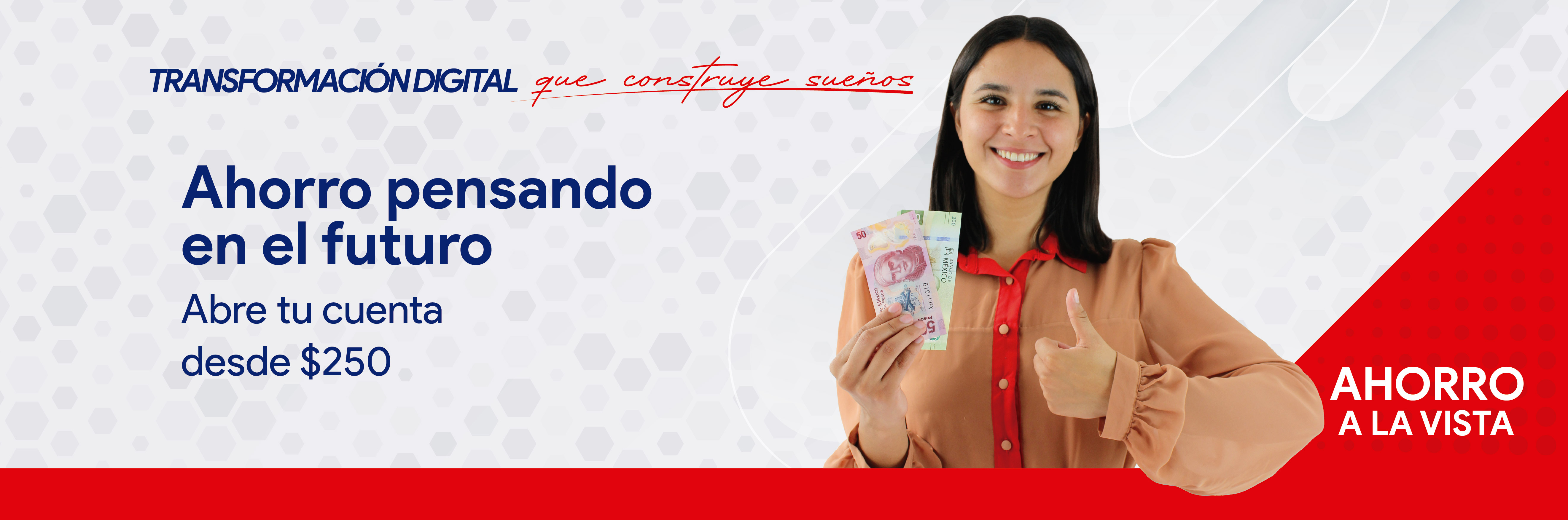 Ahorro a la Vista