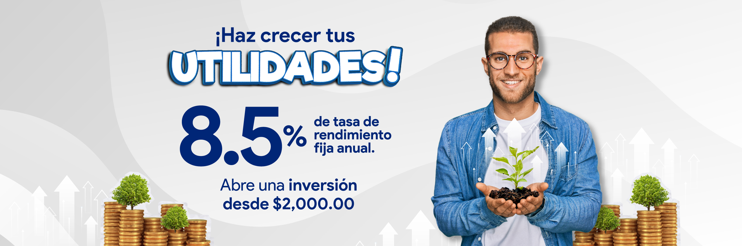 Plazo Fijo Utilidades